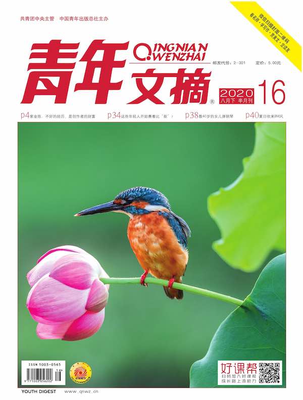 青年文摘（2020年第16期）