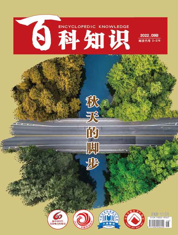 百科知识（2022年第18期）