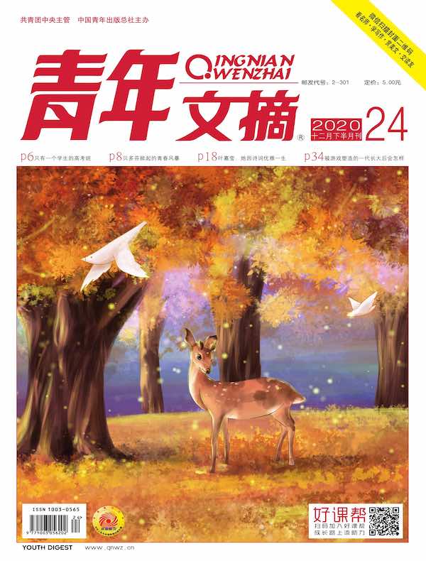青年文摘（2020年第24期）