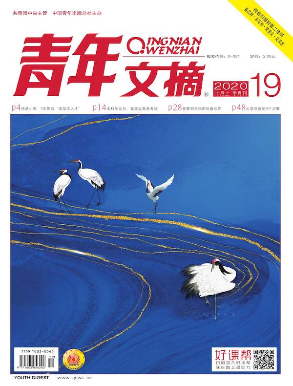 青年文摘（2020年第19期）