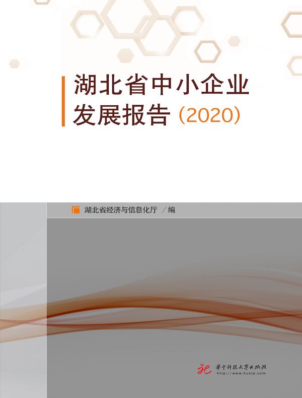 湖北省中小企业发展报告（2020）