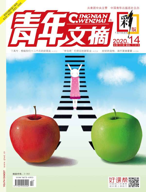 青年文摘（彩版）2020年第14期