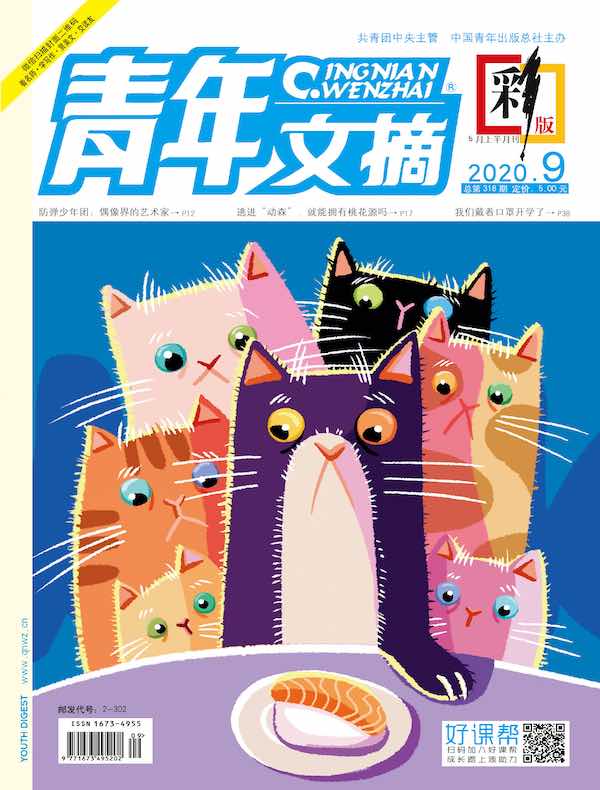 青年文摘（彩版）2020年第9期