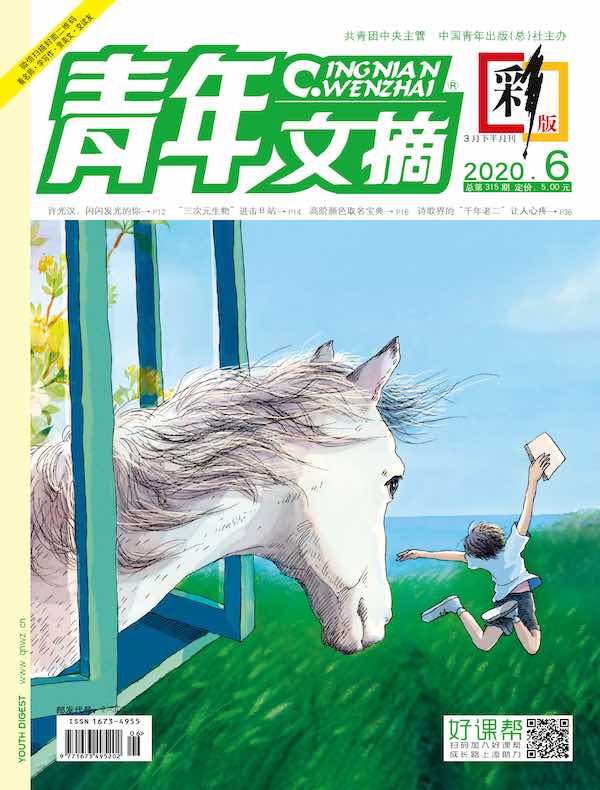青年文摘（彩版）2020年第6期