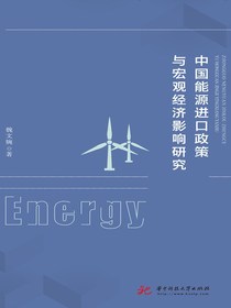 中国能源进口政策与宏观经济影响研究