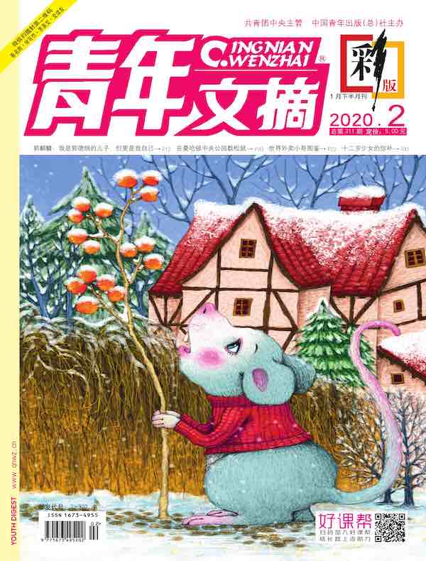 青年文摘（彩版）2020年第2期