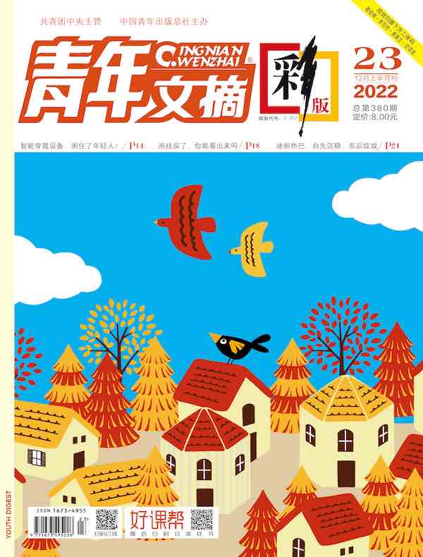 青年文摘（彩版）2022年第23期