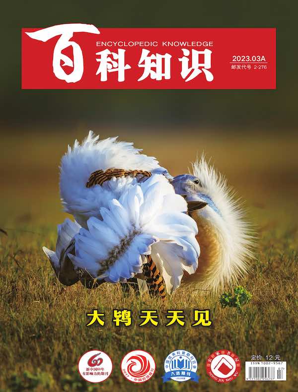 百科知识(2023年第5期)