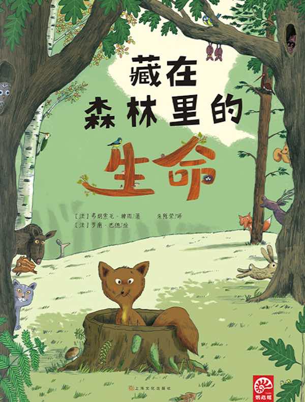 藏在森林里的生命