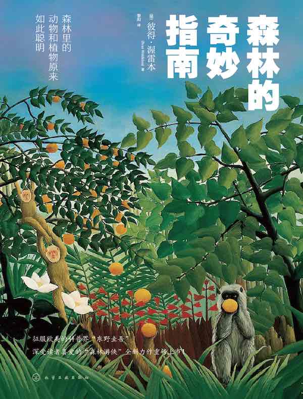 森林的奇妙指南