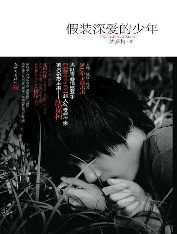 假装深爱的少年