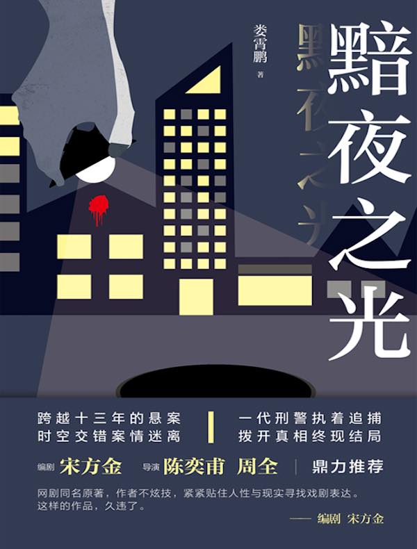 黯夜之光(《尘封十三载》原著小说)