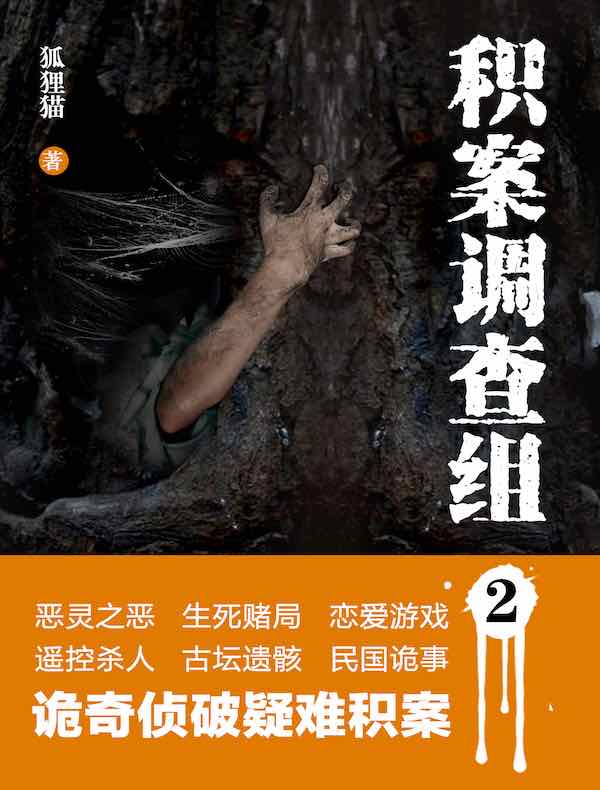 积案调查组 2