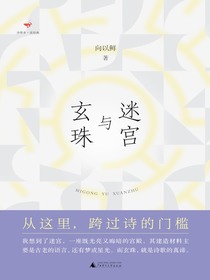 迷宫与玄珠