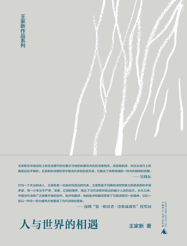 人与世界的相遇（王家新作品系列）