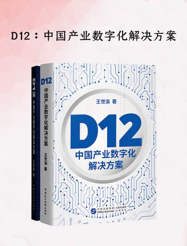 D12：中国产业数字化解决方案