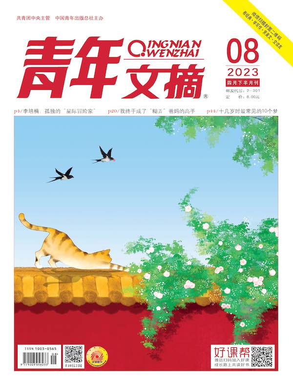 青年文摘（2023年第8期）