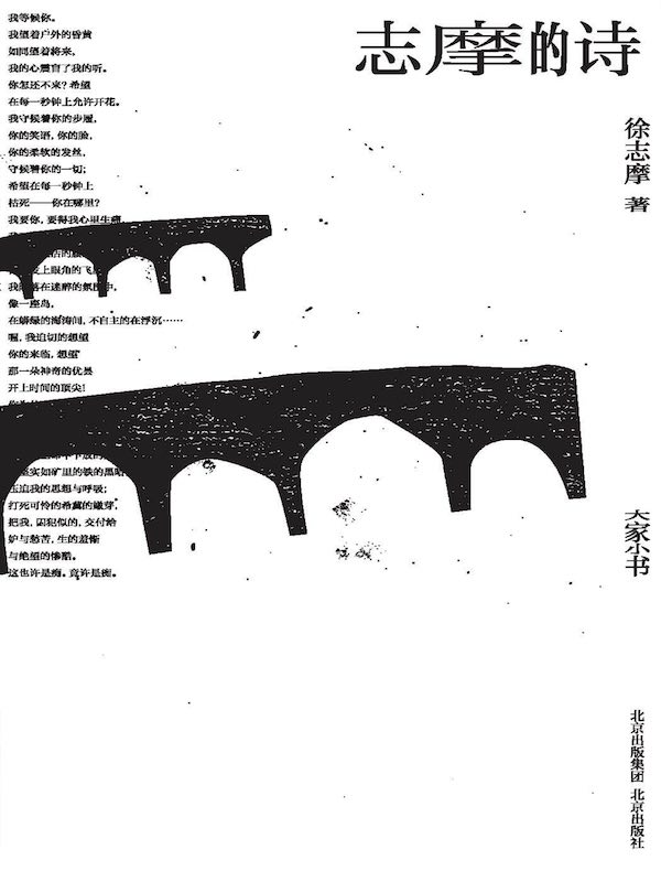 志摩的诗（大家小书）