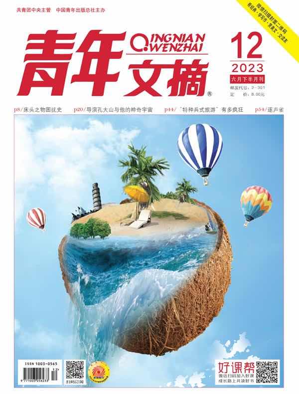 青年文摘（2023年第12期）