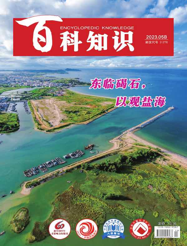 百科知识（2023年第10期）