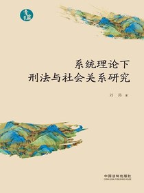 系统理论下刑法与社会关系研究