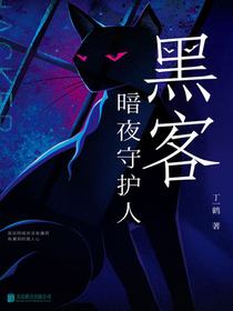黑客：暗夜守护人