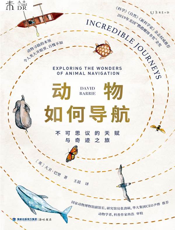 动物如何导航