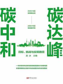 碳达峰碳中和：目标、挑战与实现路径