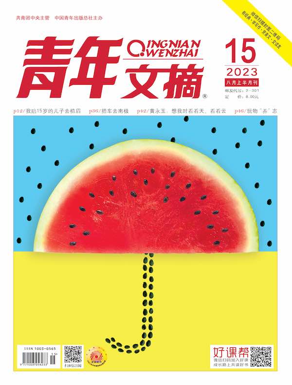 青年文摘（2023年第15期）