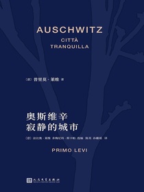 奥斯维辛：寂静的城市