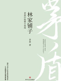 林家铺子（茅盾中短篇小说选）