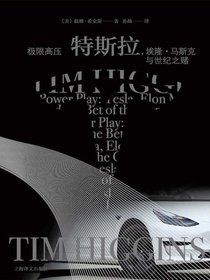 极限高压：特斯拉，埃隆·马斯克与世纪之赌