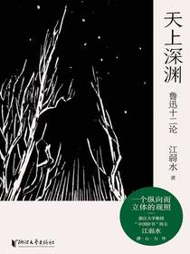 天上深渊：鲁迅十二论