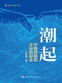 潮起：中国创新型企业的诞生
