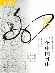 一个中国村庄：山东台头