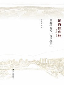 记得住乡愁：乡村振兴的“大理路径”