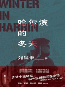哈尔滨的冬天