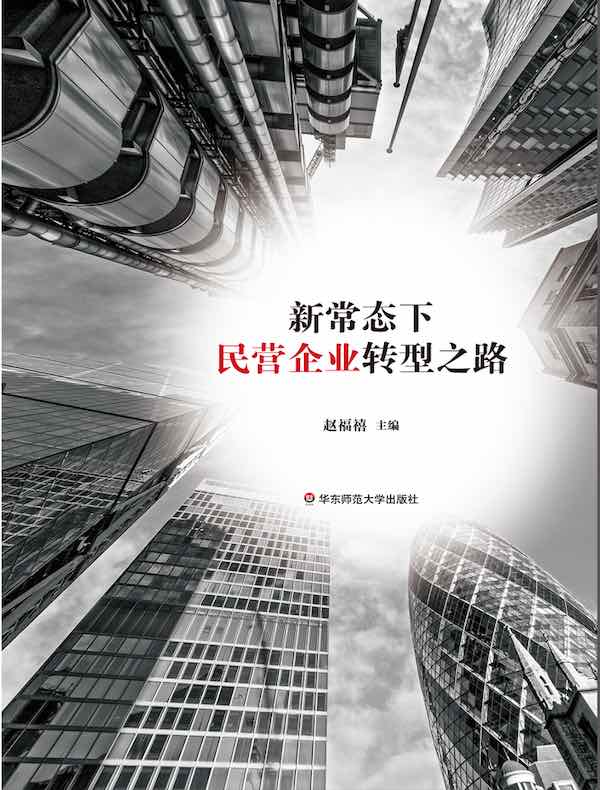 新常态下民营企业转型之路