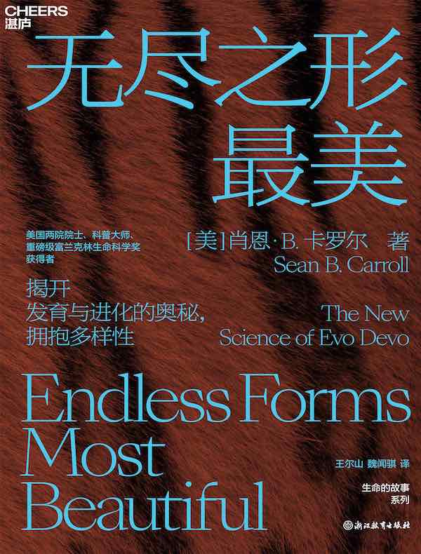 无尽之形最美
