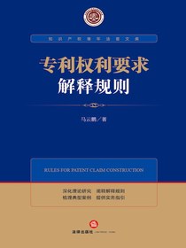 专利权利要求解释规则