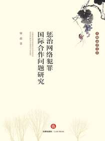 惩治网络犯罪国际合作问题研究