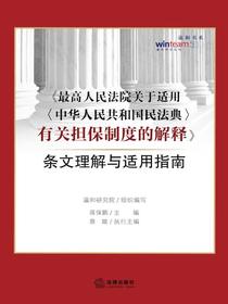 最高人民法院关于适用＜中华人民共和国民法典＞有关担保制度的解释条文理解与适用指南