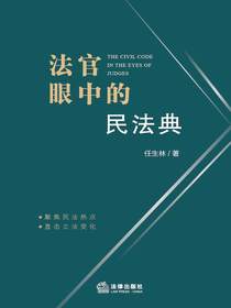 法官眼中的民法典