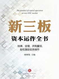 新三板资本运作全书：挂牌、定增、并购重组、股权激励实务操作