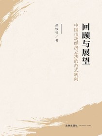 回顾与展望：中国市场经济立法的范式转向