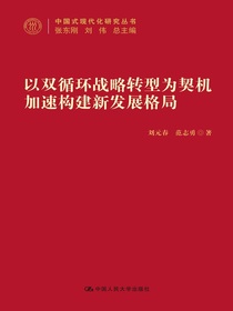 以“双循环”战略转型为契机加速构建新发展格局（中国式现代化研究丛书）