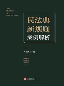 民法典新规则案例解析