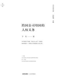 跨国公司母国的人权义务