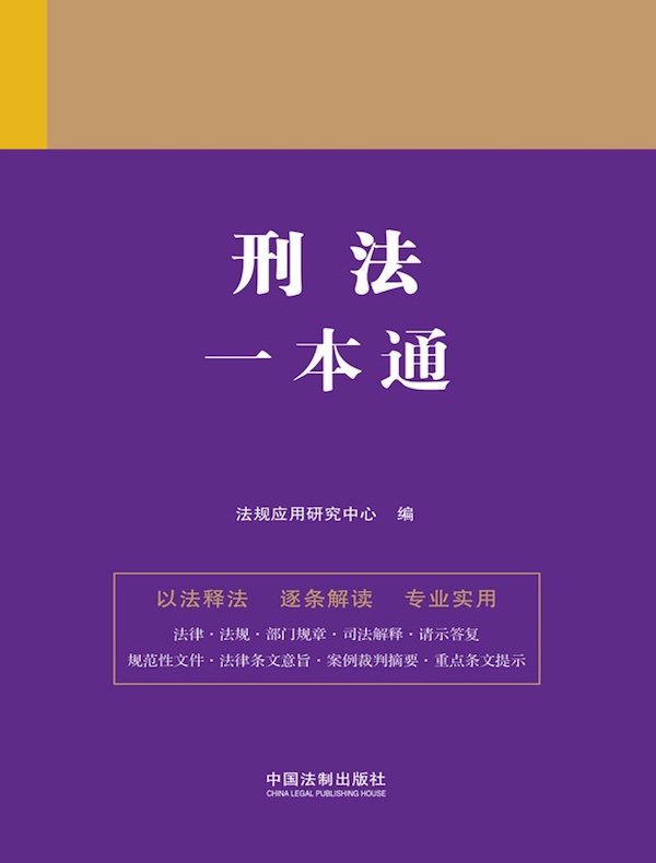 刑法一本通（第九版）