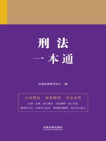刑法一本通（第九版）